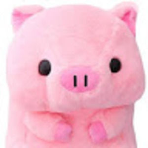 Meet your Posher, Nina